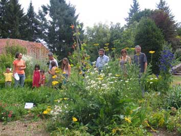 Les plantes, amies de notre santé par les bourgeons et jeunes pousses Les plantes, amies de notre santé